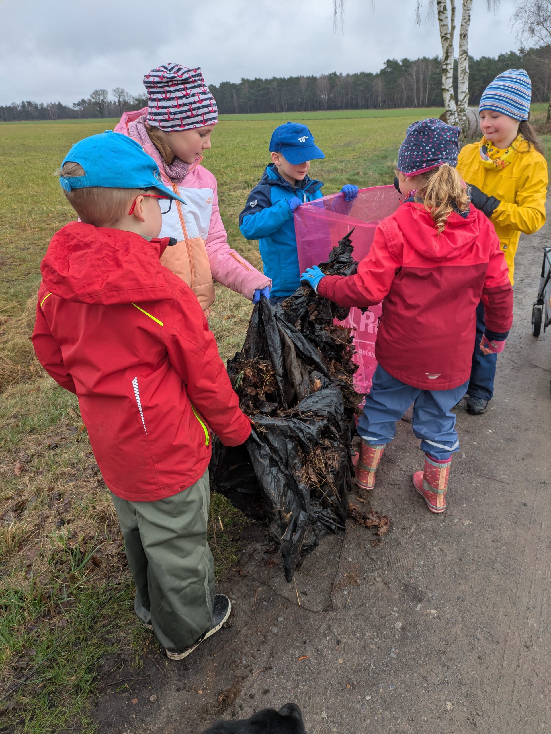 e898db62-9b79-4792-bf93-8d23ff5e6aba